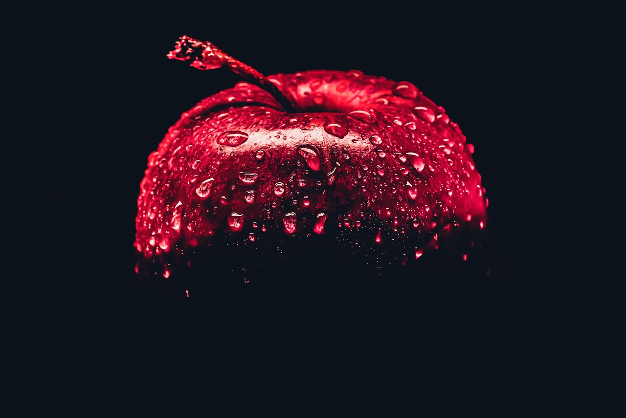 건강검진 비용