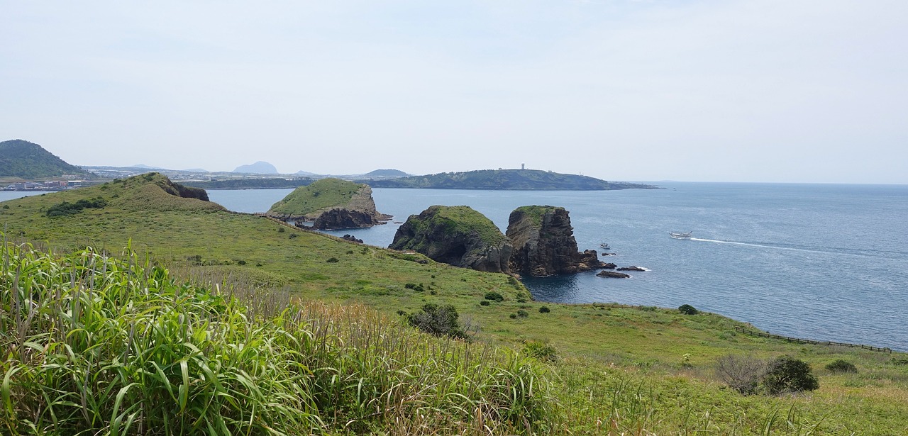 제주 수영장리조트