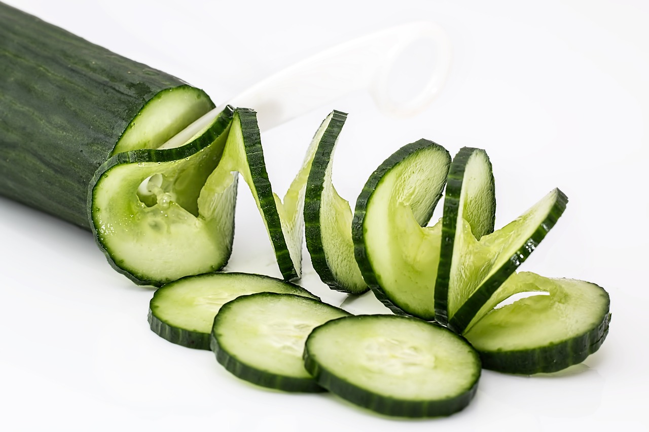 다이어트 치료